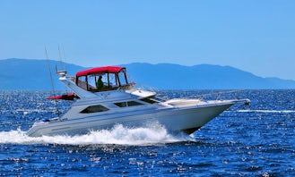 Private Charter Sea Ray 46 Motor Yacht in Puerto Vallarta, Mexico