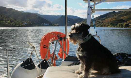 Moody33 MKII Sailing Yacht for 4-Hour Adventure!