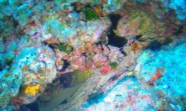 Diving in Lanzarote