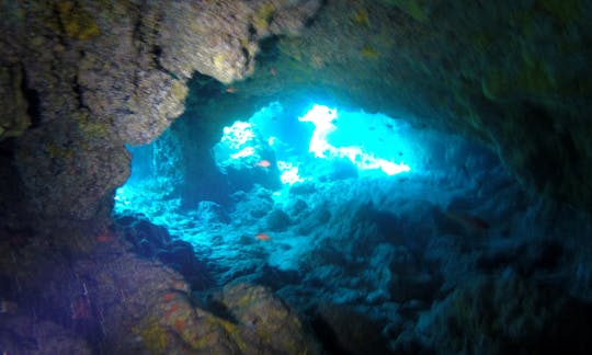 Diving in Lanzarote