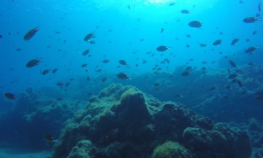 ランサローテ島でのダイビング