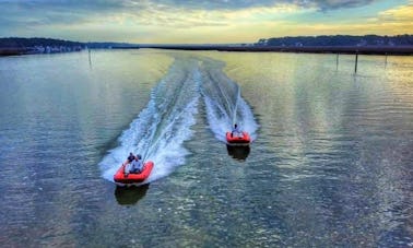 Excursion de 2 heures en mini-bateau RIB avec les dauphins sur l'île de Hilton Head