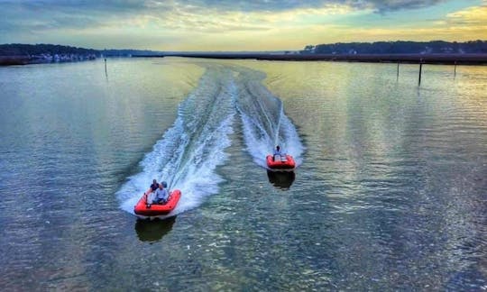 2hr Mini RIB Boat Dolphin Tour in Hilton Head Island