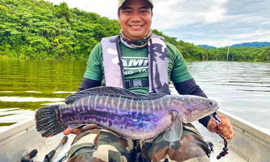 Toman Snakehead Pahang Reservoir Fishing Trip
