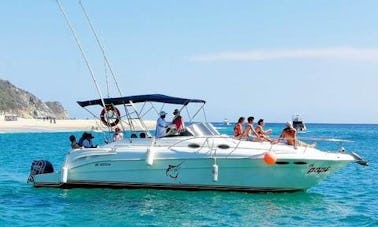 Deluxe Cruiser to visit the 7 Bays of Huatulco