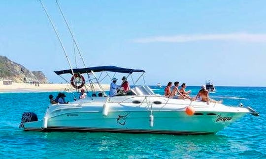Deluxe Cruiser Bay to visit the Bays or Huatulco