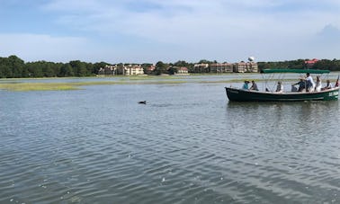 Observation des dauphins et excursion en bateau avec des beignets en Caroline du Sud