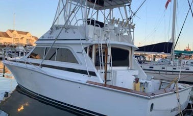 Fishing Charter on 38' Dawson Sportfish Yacht in Norfolk, Virginia