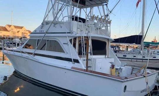 Alquiler de pesca en el yate Dawson Sportfish de 38 pies en Norfolk, Virginia