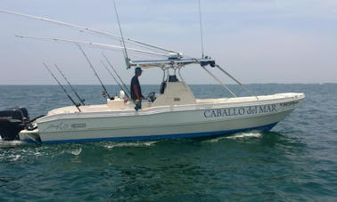 Jaco, Los Suenos Costa Rica, 28' Center Console,