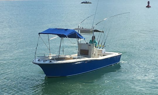 Fishing Charter on Nautique 28