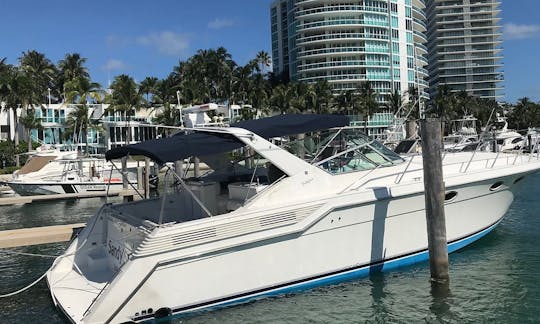 46' Wellcraft - Charters de um dia ou vários dias! KEYS: Viagens de live aboard, nossa especialidade.