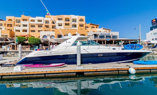 65' Sea Ray Power Mega Yacht Rental in Cabo San Lucas, Baja California Sur!