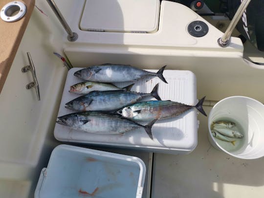 Vivaneau Fishing Team  4 hour  fishing trip around Burgas Bay 
