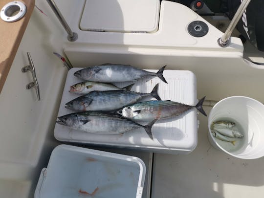 Vivaneau Fishing Team  4 hour  fishing trip around Burgas Bay 