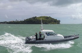 28' Center Console Rayglass Protector in Auckland, NZ