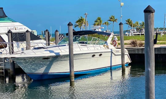 46' Wellcraft - Day or Multi day charters!  KEYS Liveaboard trips our specialty.