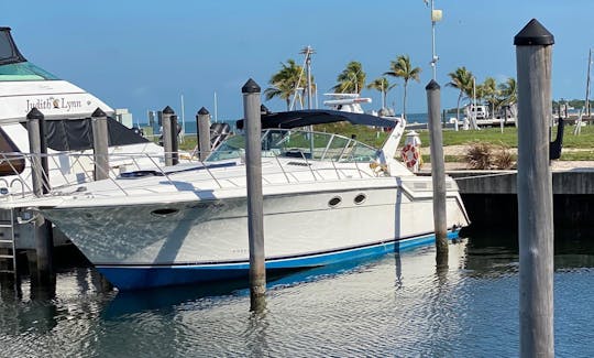 46' Wellcraft - Charters de um dia ou vários dias! KEYS: Viagens de live aboard, nossa especialidade.