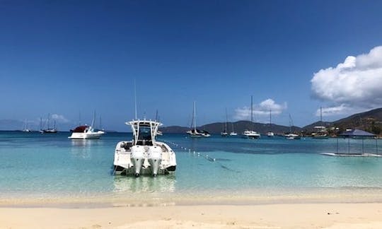 Spend Half Day on the Water with 31' Powerboat in St. Thomas w/Holiday Discount