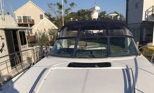 41’ Searay Sport Yacht in the Great South Bay, Fire Island  for Day Trips