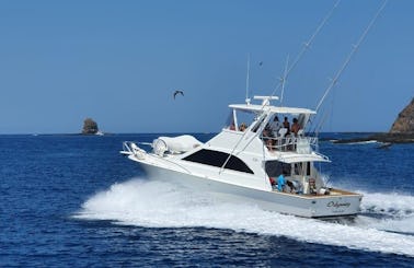 Sport Fishing Tours in Provincia de Guanacaste - All In Ocean Yacht 48ft