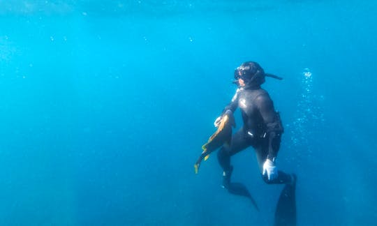 Spearfishing Trip in Bali with Friendly Local Guides