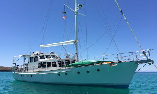 70' steel hull New Zealand custom build