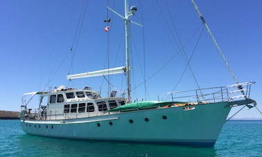 70' Sailing Cruiser NZ Custom