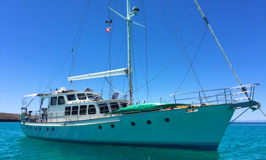 70' steel hull custom designed and built in New Zealand.