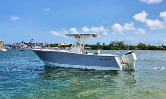 New Sea Born 24' Cruising Boat in Miami Beach!