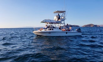 Exciting Fishing and Boat Trips on 28ft