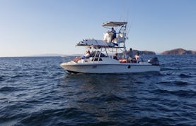 Exciting Fishing and Boat Trips on 28ft