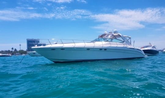 Sporty and Luxurious Sea Ray Sundancer 45' Motor Yacht in Miami, Florida