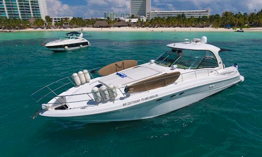 Seaay 51  50 rent  boat cancun