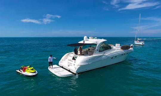 Seaay 51  50 rent  boat cancun