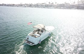 Luxury 29' Sea Ray Sundancer for rent in Newport Beach, California