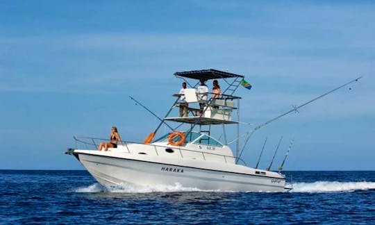 Gulf Craft Sport 35' Fishing Boat Available For Various Day Trips!!