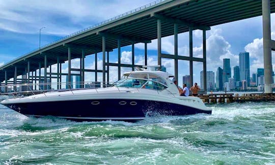 45' Sea Ray Sundancer Motor Yacht - Starting at $291.66 per hr when you book 6hrs - water toys included: water carpet, Paddleboard , floating noodles, snorkeling goggles