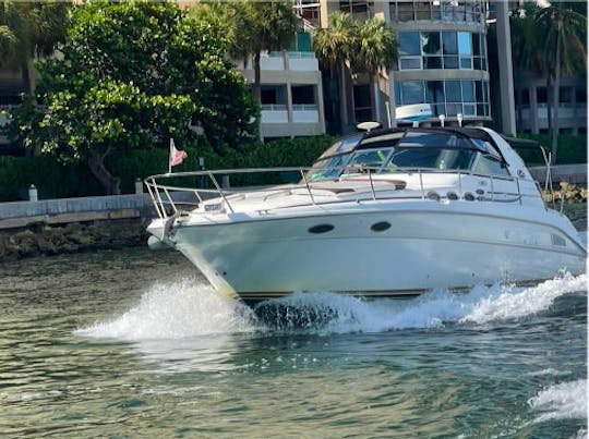 40' SeaRay Motor Yacht in Miami Beach