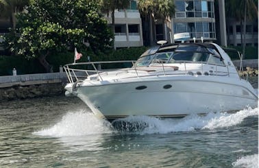 40' SeaRay Motor Yacht in Miami Beach