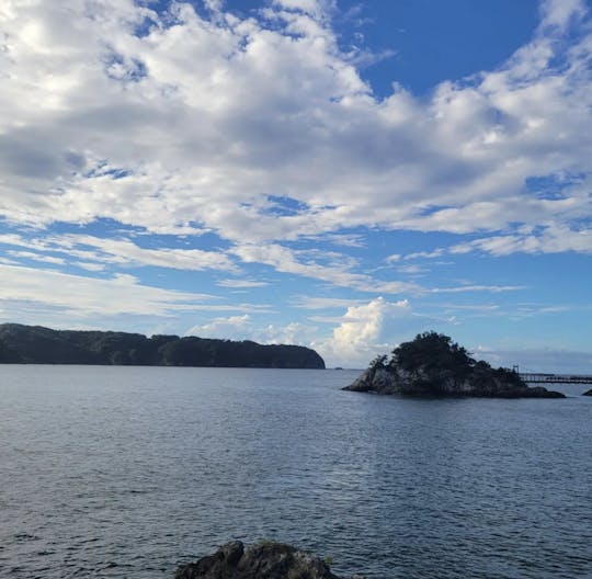 In shore Fishing in quiet ocean of Izu. Bring your fresh caught and dine here!!