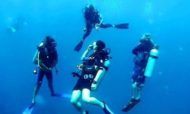 Open Water Diver (PADI Course)