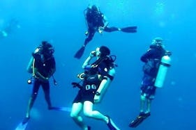 Open Water Diver (PADI Course)