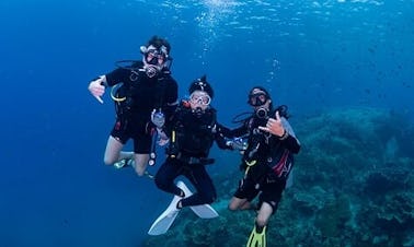 Unique Diving Trip Experience in Koh Chang