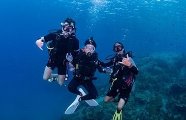Unique Diving Trip Experience in Koh Chang