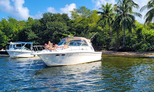38' Ideal for Bachelorette, Bachelor Parties, Birthdays, and Family Days!