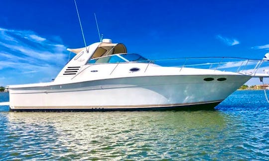 38' Ideal for Bachelorette, Bachelor Parties, Birthdays, and Family Days!