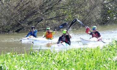 Alquiler de kayak en Foxton, incluye chaleco salvavidas y remo