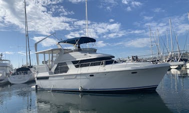 Yacht super amusant unique de 50 pieds ! parfait pour tout événement professionnel ou fête d'anniversaire !