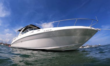 38' Sea Ray Yacht in Miami. The price includes your Captain and fuel !